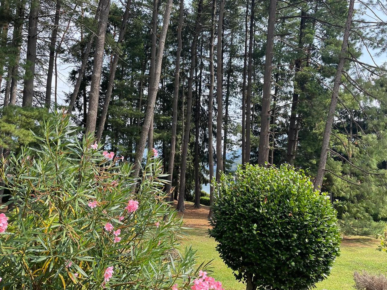 Villa Mario - Casa Vacanze Lavena Ponte Tresa Εξωτερικό φωτογραφία